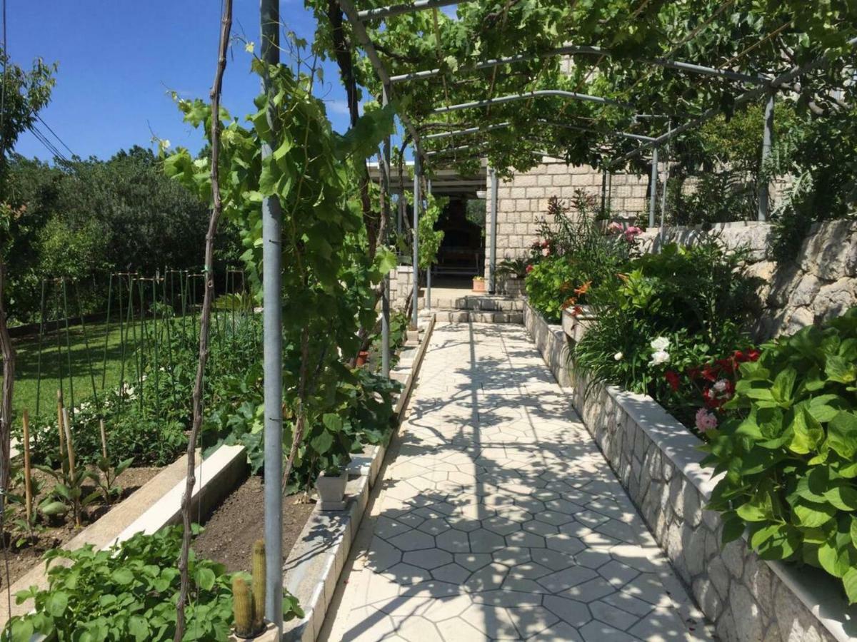 Villa Silvija Mlini Εξωτερικό φωτογραφία