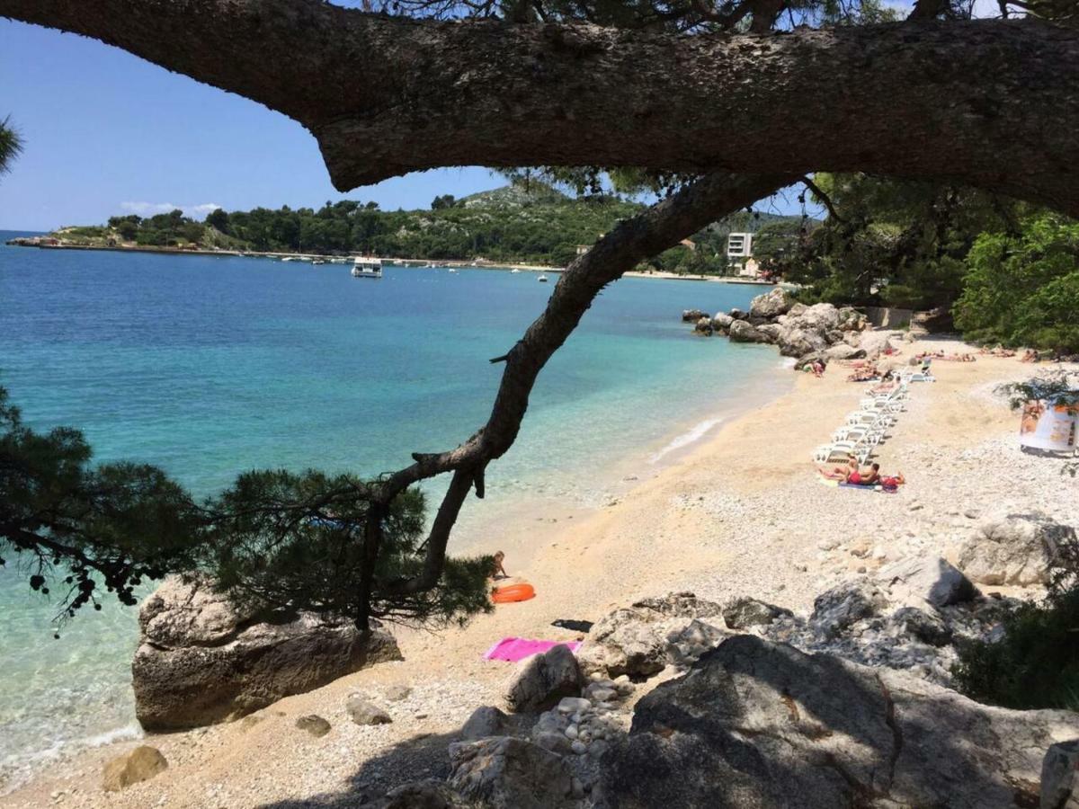 Villa Silvija Mlini Εξωτερικό φωτογραφία