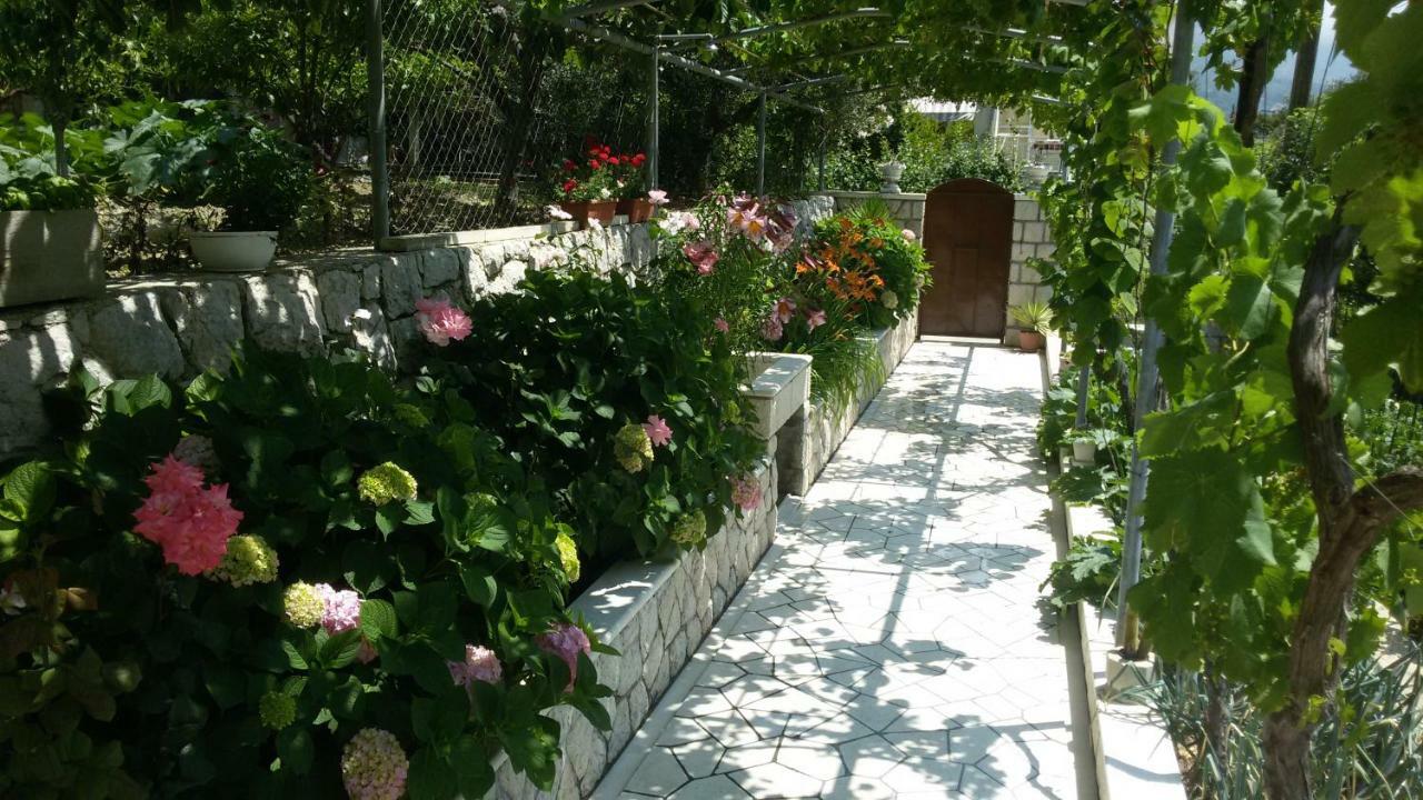 Villa Silvija Mlini Εξωτερικό φωτογραφία